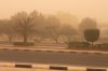 dust storm kuwait 800 size.jpg