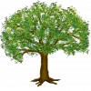 tree.png