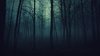 wood_trees_gloomy_fog_haze_darkness_50175_1920x1080.jpg