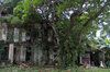 Adventure_ The crumbling bungalow at Upper Wilkie Road.jpg