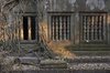 Trees Growing Through Building at Sunrise, Beng Mealea ___.jpg