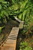 Best 245 Spectacular Stairs ideas on Pinterest _ Home ___.jpg