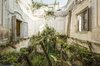 Abandoned locations around the world completely overgrown ___.jpg