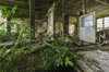 These spooky abandoned buildings overrun by plants show ___.jpg