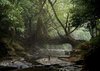 Meghalaya_ The Rainiest Place on Earth _ Unusual Places.jpg