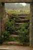 old stone steps ___ _ Outdoors _ Pinterest _ Root Cellar ___.jpg