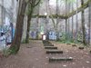 Trees growing inside an abandoned building_ _ Abandoned ___.jpg