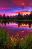 25+ best ideas about Beautiful nature images on Pinterest ___.jpg