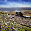 Weedist Destinations_ Gorge Amphitheatre - Weedist.jpg