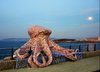 If I Seem a Little Strange… - Giant Octopus Sculpture in ___.jpg