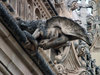 40 Gargoyles and Grotesques Around the World «TwistedSifter.jpg