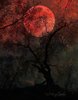 BLOOD MOON Photo Surreal Full Moon Art Print Halloween ___.jpg