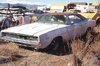 Antique Junk Yards _ Muscle cars have all but disappeared ___.jpg