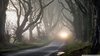 Creepy Forest Wallpaper - WallpaperSafari.jpg