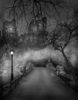 Black And White Landscapes of Central Park – Fubiz Media.png