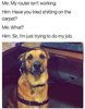 these-memes-will-be-a-real-treat-for-dog-owner-22.jpg