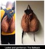 best-of-epic-funny-memes-the-ballsack-epic-fail-funnyism-funny-1yxtyo.jpg