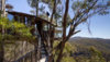 7 Fantastic Tree Houses By Airbnb - Trends and Life.png