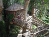 10 of the Most Fantastic Tree Houses of the World(1).jpg