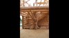 Spectacular ~ Log Stairs with a Tree! - YouTube.jpg