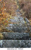 Ancient stone steps ascending up the Pre-Angkor Ruins of ___.jpg