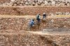 Boys Climb Up Stairs Inside The Inca Agricultural Terraces ___.jpg