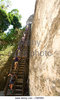 Guatemala Tikal Temple Climb Stock Photos _ Guatemala ___.jpg