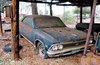 1966 Chevrolet Chevelle SS396 - Rare Finds - Hot Rod Network.jpg