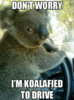 dont-wory-im-koalafied-to-drive-not-yet-16-so-35283804-e1571177878816.png