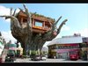 Weird house designs (tautaiv_blogspot_com) - YouTube.jpg