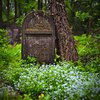 Pin by Misty Gorley on Bits _ Bobs _ Old cemeteries ___.jpg