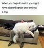 30 Of The Happiest Dog Memes Ever That Will Make You Smile ___.jpg