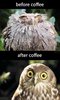 Epic Pix » Like 9gag – just funny_ » Before and after coffee.jpg