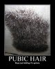 female pubic hairstyles Hairstyle.jpg