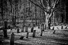 Maple Hill Cemetery, Shaftsbury VT in 2019 _ Cemetery art ___.jpg