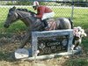 Paard en jockey _ Unusual headstones, Cemetery statues ___.jpg