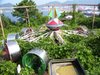 7 Abandoned Amusement Parks - Neatorama.jpg