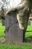 1000+ images about Tomb stones on Pinterest _ Unusual ___.jpg