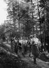 Women With Axes_ Looking Back at World War II ‘Lumberjills ___.jpg