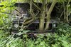 Watch Nature Reclaim These Abandoned Buildings _ WIRED.jpg