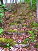 14 Creepy Abandoned Places In Minnesota That Nature Is ___.jpg