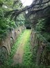 Beautiful old metro rail reclaimed by nature - Photorator.jpg