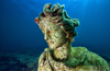 Diving in underwater archaeological park of Baia - Naples ___.png