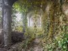 Abandoned buildings seen reclaimed by nature after humans ___.jpg