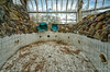 Oh, Just Harvesting Edible Mushrooms inside an Abandoned ___.jpg