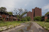 Detroiturbex_com – Brewster Housing Projects _ Reclamation ___.jpg