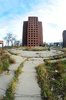 215 best Detroit - The Motor City images on Pinterest ___.jpg