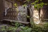 Abandoned locations around the world completely overgrown ___.jpg