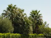 Palm Springs 066.jpg