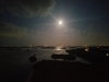 Moonlight Over Estero Bay.jpg